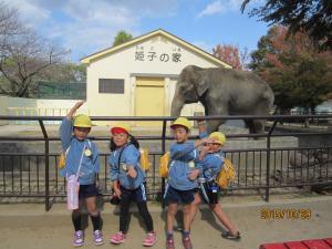5歳児姫路バス遠足（29日）の画像3