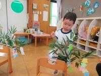 3歳児が笹の葉に飾りをつけている写真