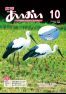 広報あいおい10月号