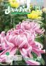 広報あいおい11月号