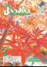 広報あいおい12月号