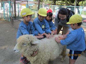 5歳児姫路バス遠足（29日）の画像1