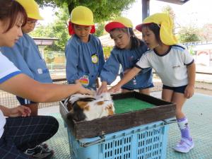 5歳児姫路バス旅行(27日）の画像2