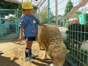 5歳児姫路バス旅行(10月25日)の画像5