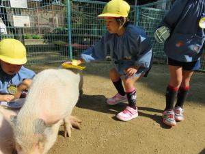 5歳児姫路バス旅行(10月25日)の画像6