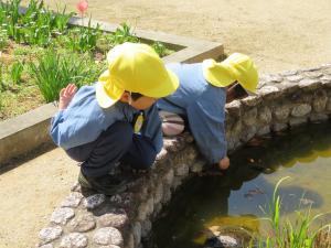 5歳児が池を見ている写真