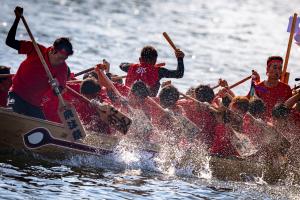 拳に滾る那波の飛沫祭	竹本　英昭の画像