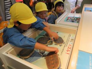 水族館の亀の展示を見ている写真