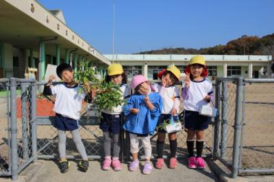 園舎の周りをまわって秋の自然を見つけてきたところ