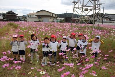 コスモスに囲まれて集合写真