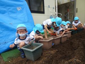 5歳児が花の種を植えているところ