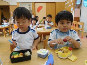 3歳児がお弁当を食べているところの画像1