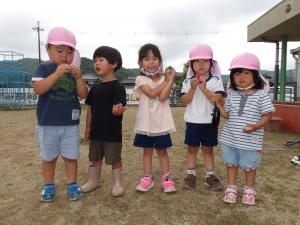 野菜収穫の様子