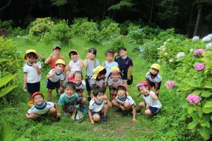 紫陽花散歩をしている様子