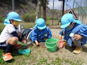 5歳児が虫捕りをしている写真