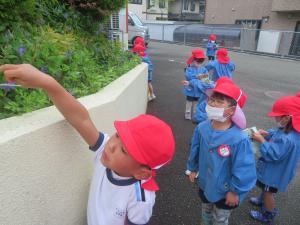 園内体験をしているところ