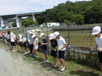 田植え１