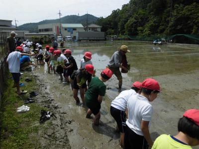 田植え２