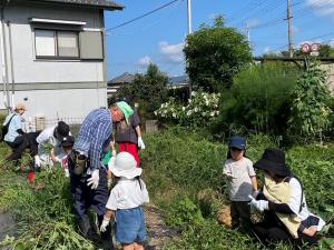 みんなで草抜きをしている写真