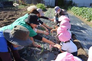 ベジーズが子どもに植え方を教えているところ