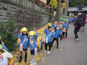 八幡神社でいちょうの葉っぱを見つけているところ