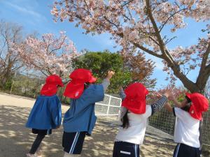 満開の桜を見てはしゃぐ子どもたち