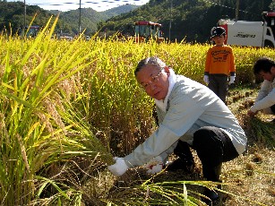 稲刈りをする市長