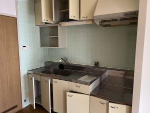 再開発住宅（台所）