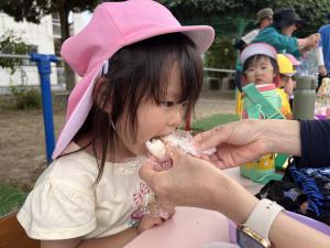 梅干しの食べ比べ