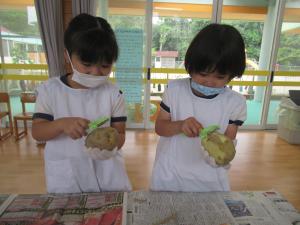 5歳児がじゃがいもの皮むきをしている写真