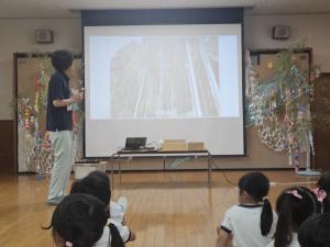 木の話をしている写真