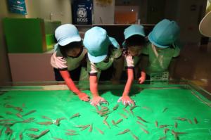 ドクターフィッシュに手を入れているところ