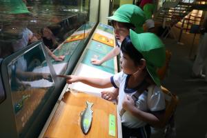 5歳児が水族館で魚をみているところ