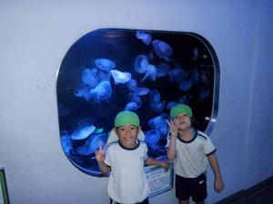 5歳児が水族館でクラゲをみているところ