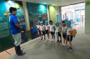 水族館の飼育員の方にカメの質問をしているところ