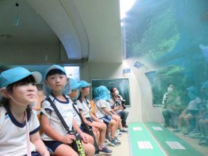 大きな水槽の前で子ども達が座っている写真