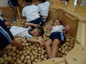 木のボールプールに入っている子ども達の写真