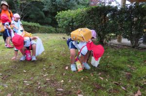 中央公園でどんぐりを拾っているところ