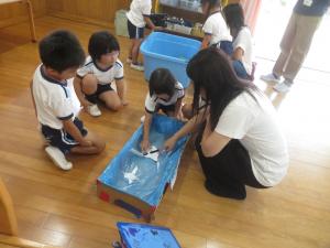 手づくりの水族館で遊んでいるところ