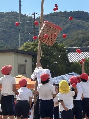 玉入れをしている写真