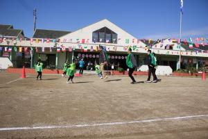 バッタで対決している写真