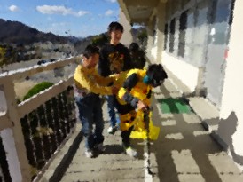 アイマスク体験