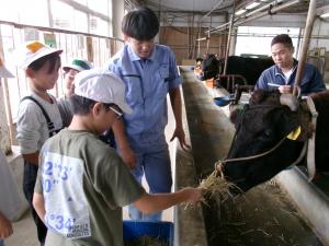 自然学校の様子