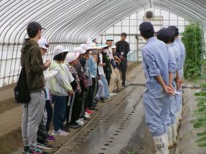 自然学校の様子