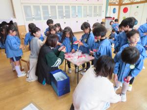 きんぎょを袋にいれているところ