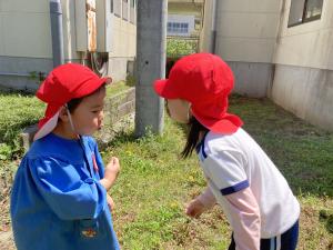 綿毛を飛ばそうとしている写真