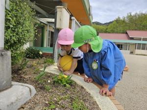 3歳児と5歳児が一緒にダンゴムシを探している写真