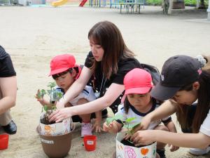 親子で夏野菜の苗を植える様子