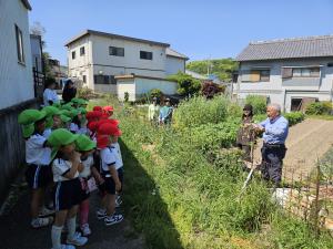 さつまいもの苗植えの説明を聞いている写真