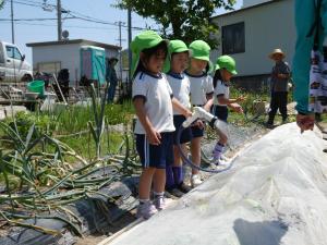 水やりをしている写真